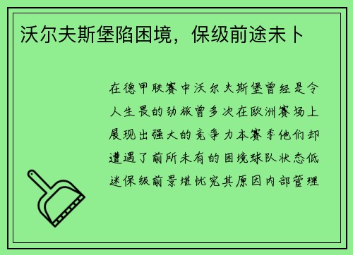 沃尔夫斯堡陷困境，保级前途未卜